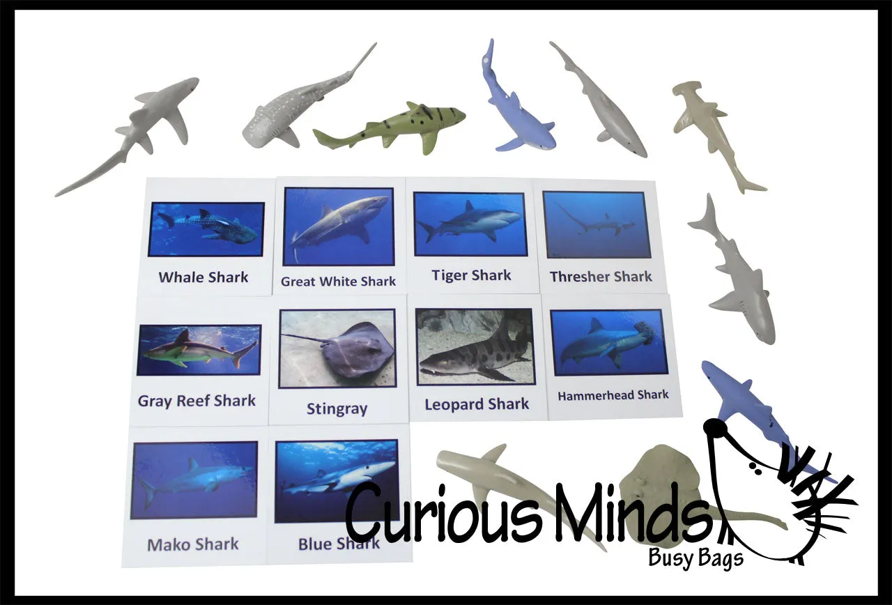 Animal Match - SHARK - Miniature Animals with Matching Cards - 2 Part Cards.  Montessori learning toy, language materials