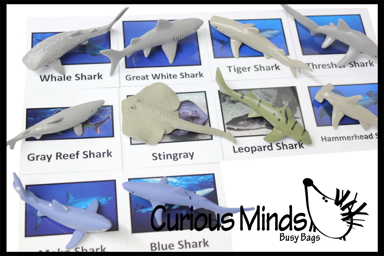 Animal Match - SHARK - Miniature Animals with Matching Cards - 2 Part Cards.  Montessori learning toy, language materials