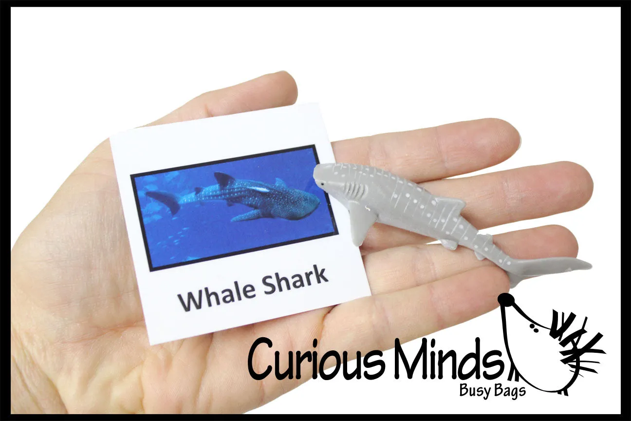 Animal Match - SHARK - Miniature Animals with Matching Cards - 2 Part Cards.  Montessori learning toy, language materials