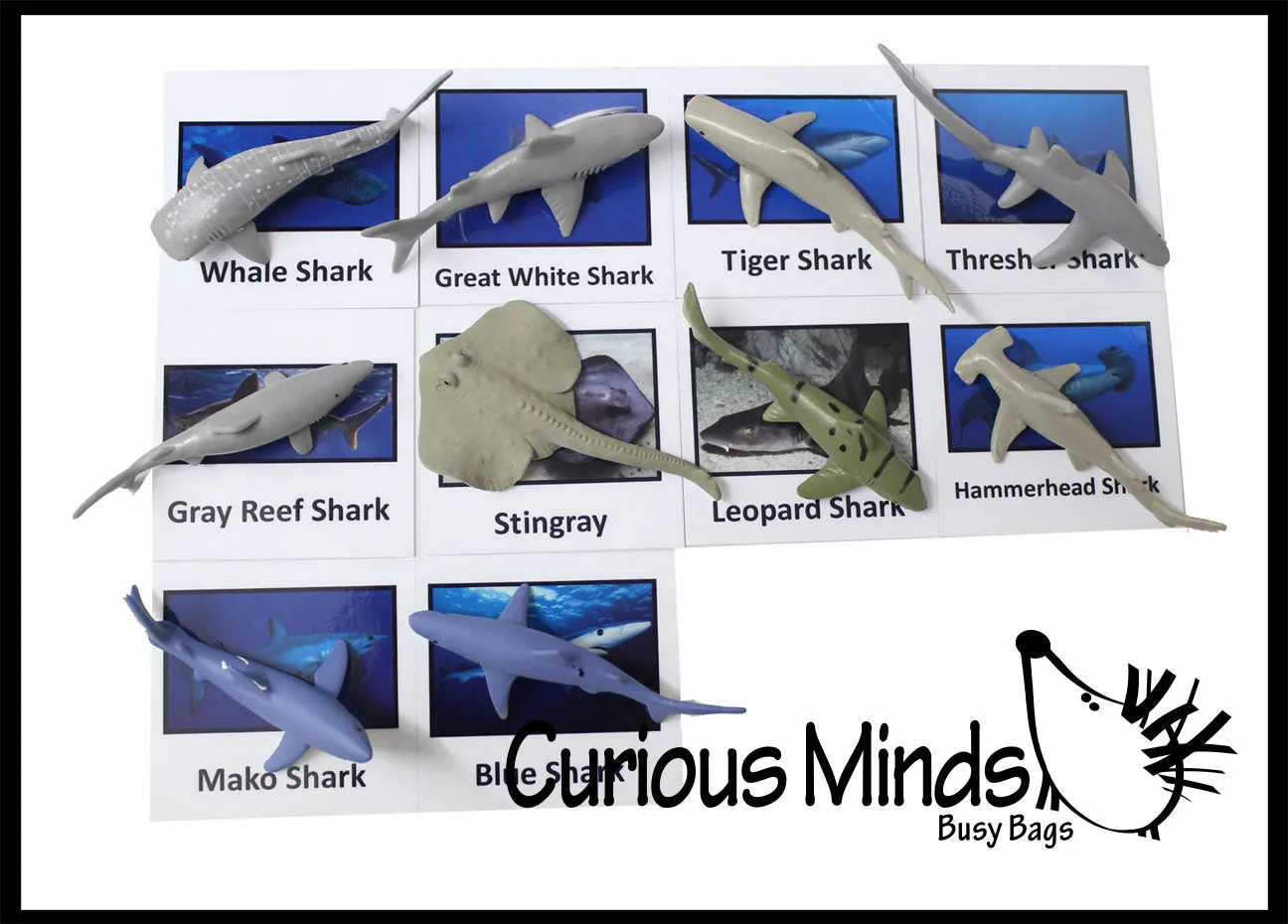 Animal Match - SHARK - Miniature Animals with Matching Cards - 2 Part Cards.  Montessori learning toy, language materials