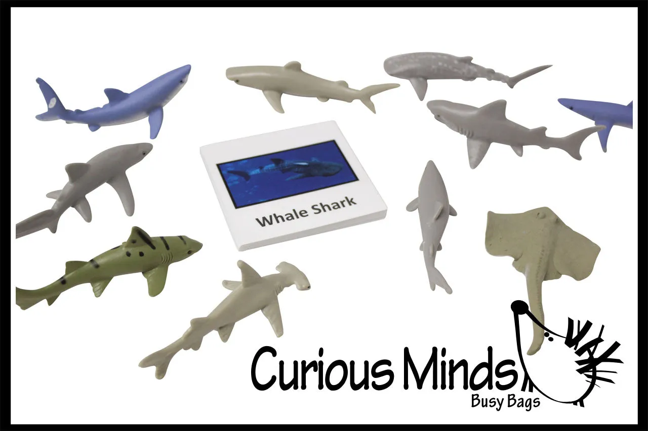 Animal Match - SHARK - Miniature Animals with Matching Cards - 2 Part Cards.  Montessori learning toy, language materials