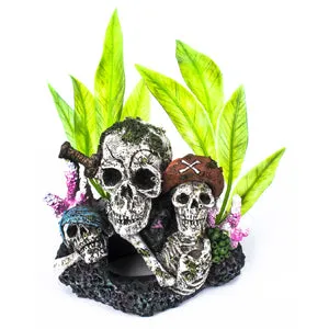 AquaWorld Pirate Skulls Trio