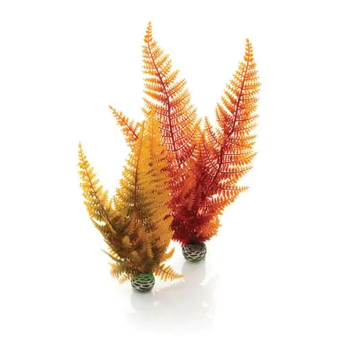 biOrb Autumn Fern Set of 2