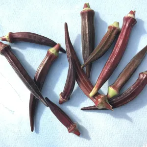 Burgundy Okra