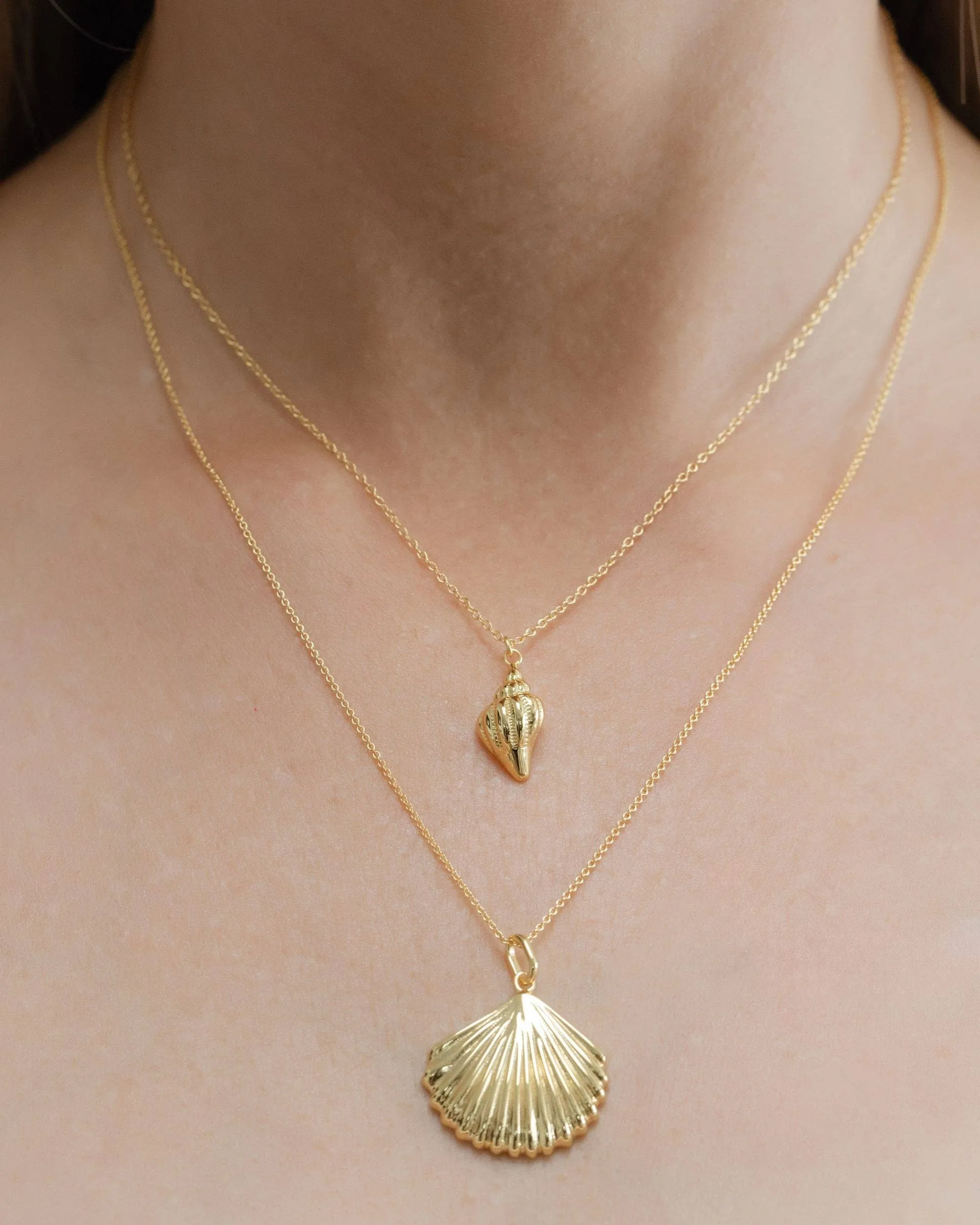 Coast and Cove - Gold Conch Shell Necklace