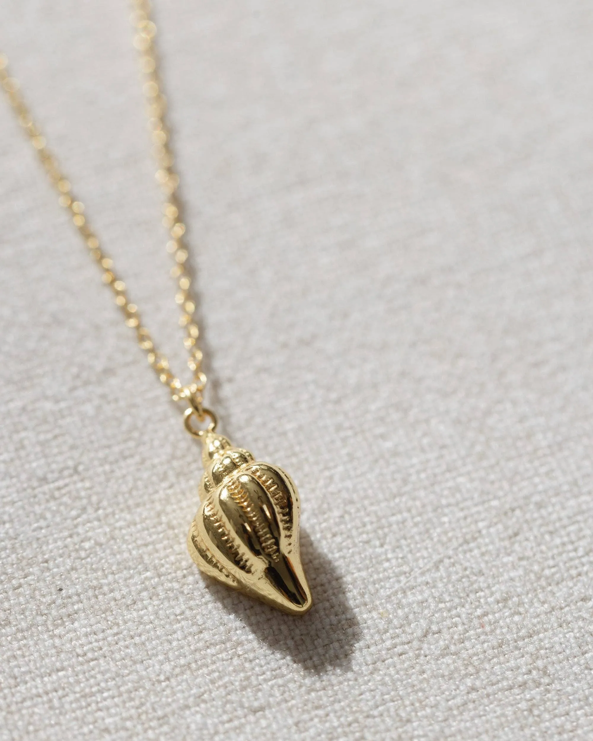 Coast and Cove - Gold Conch Shell Necklace