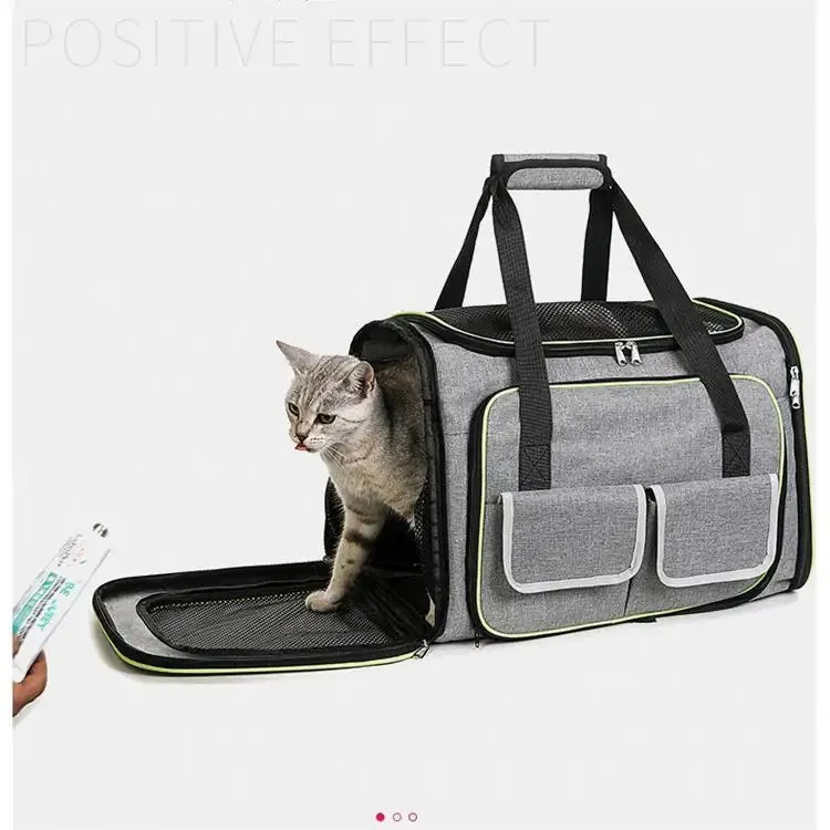 FlexiPaws™ Expandable Pet Travel Carrier