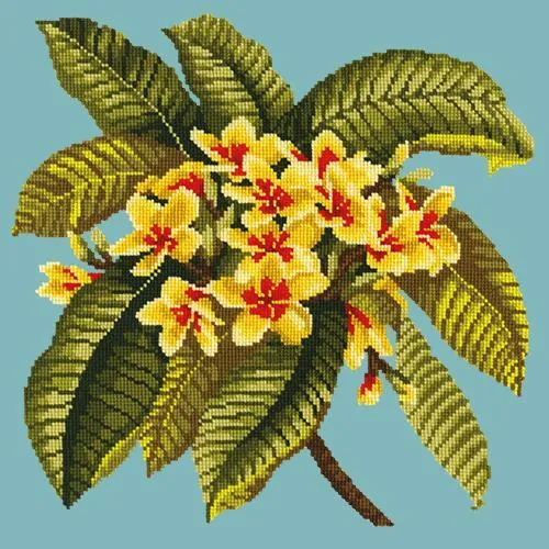 Frangipani