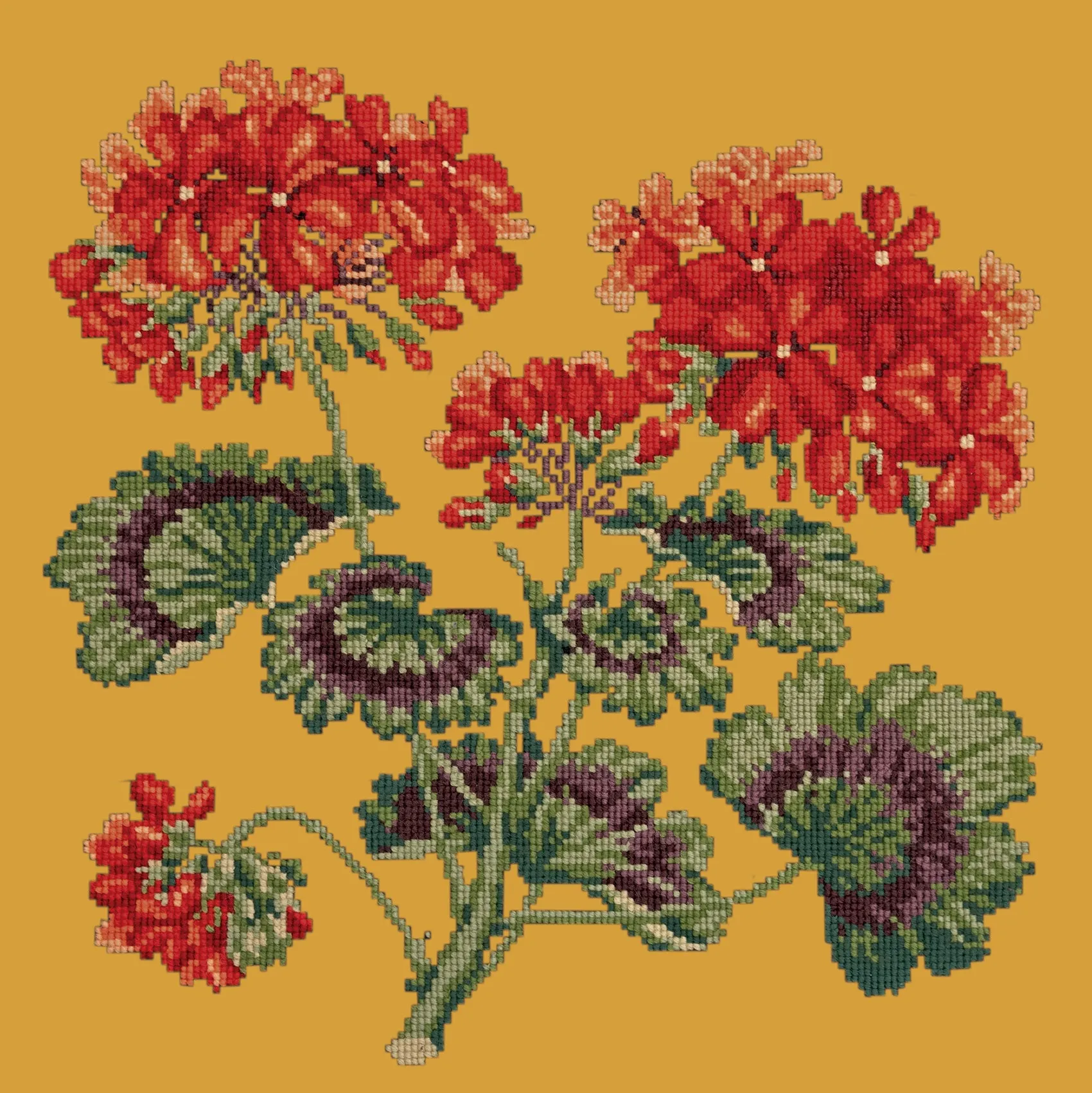 Geranium