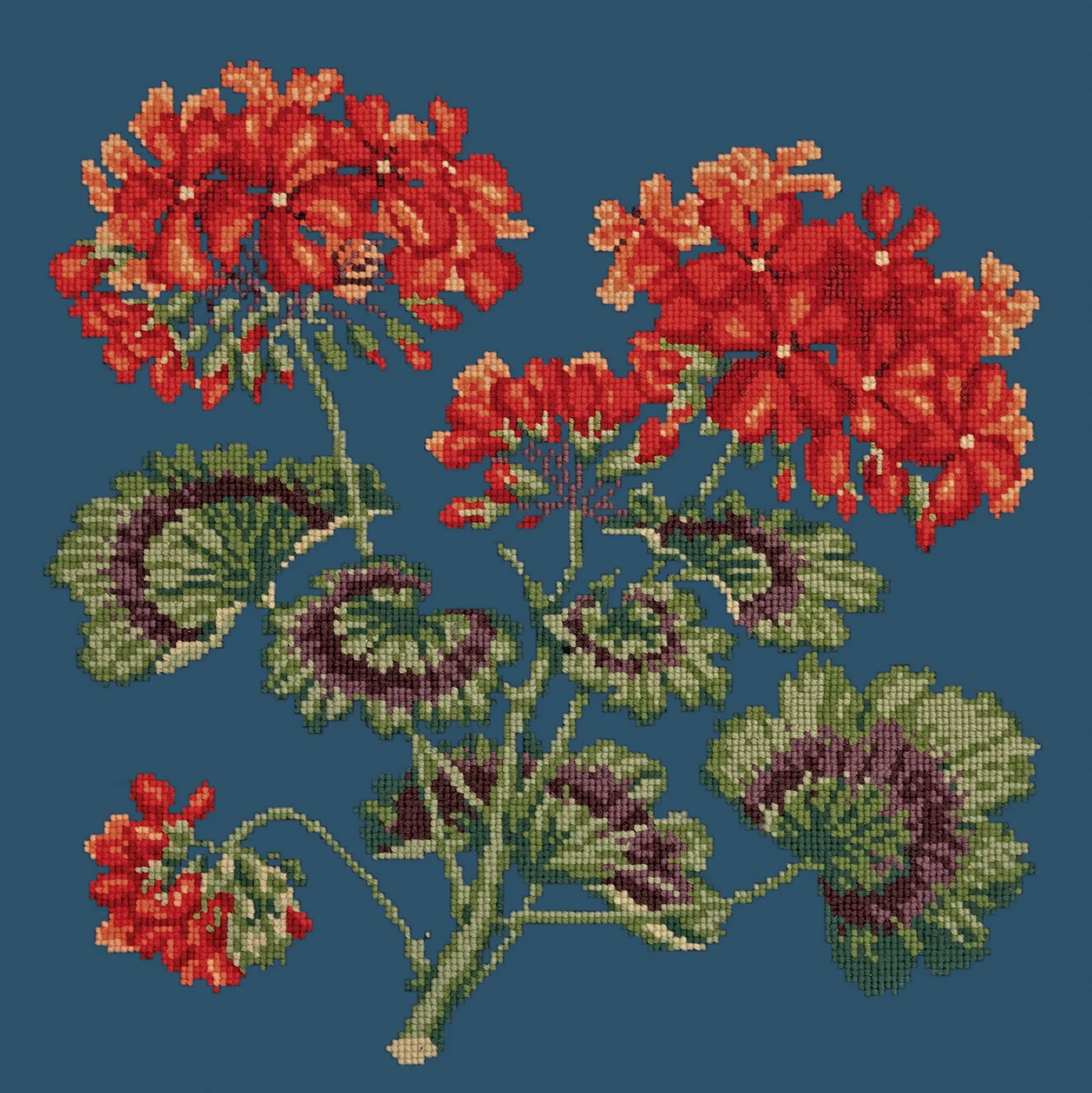 Geranium