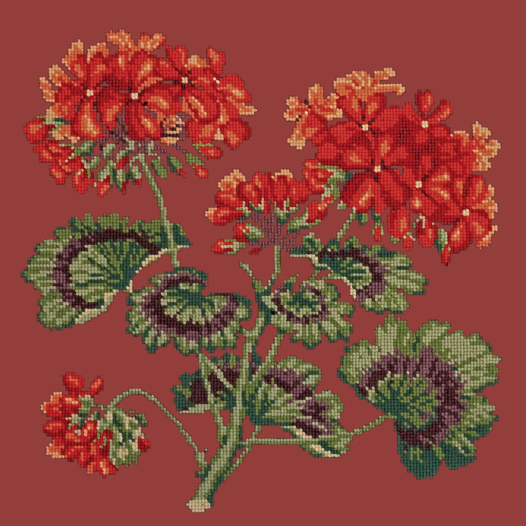 Geranium