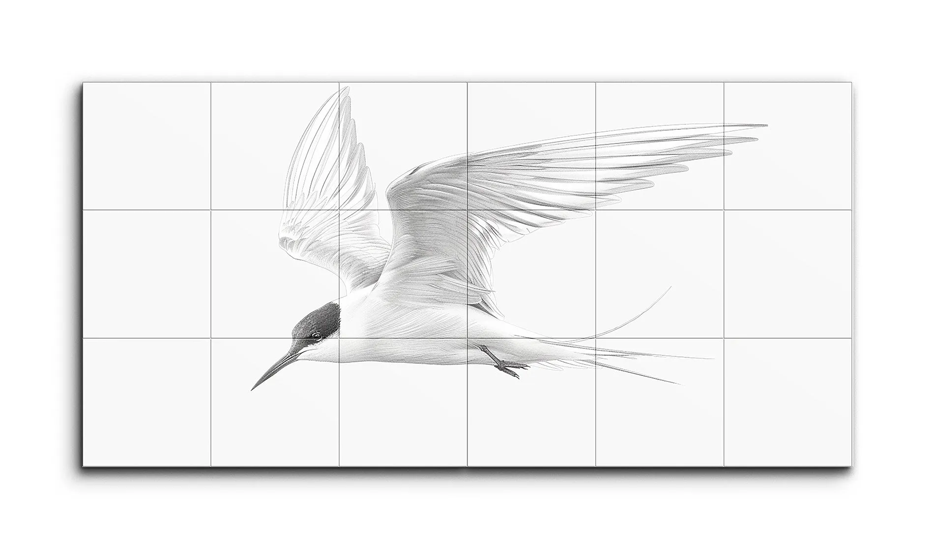 Graceful Tern in Flight: Monochrome Elegance