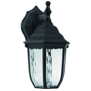 Morris Products 72130 Lantern Entryway 6W 4000 Kelvin