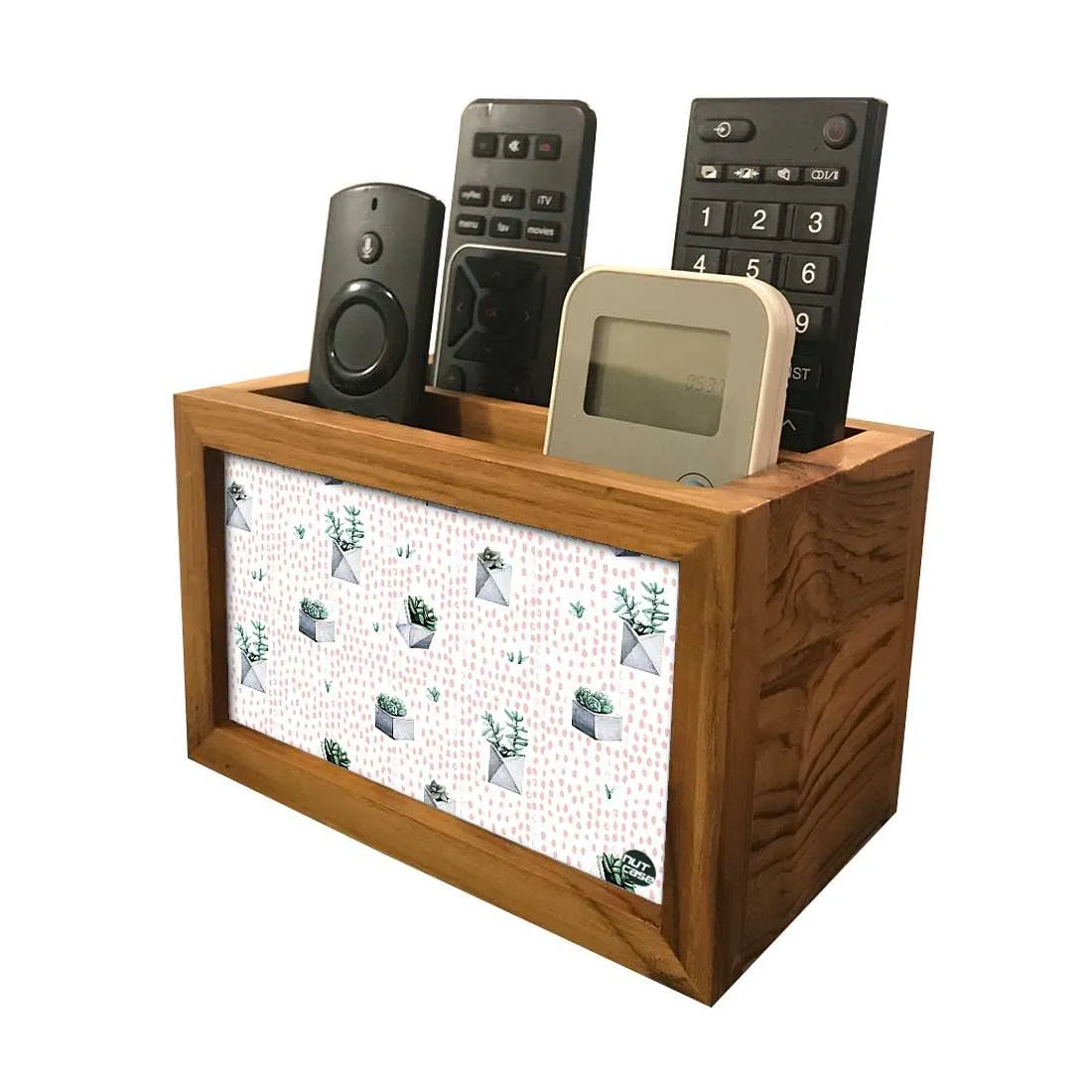 Organizer For TV AC Remotes -Cactus Pots