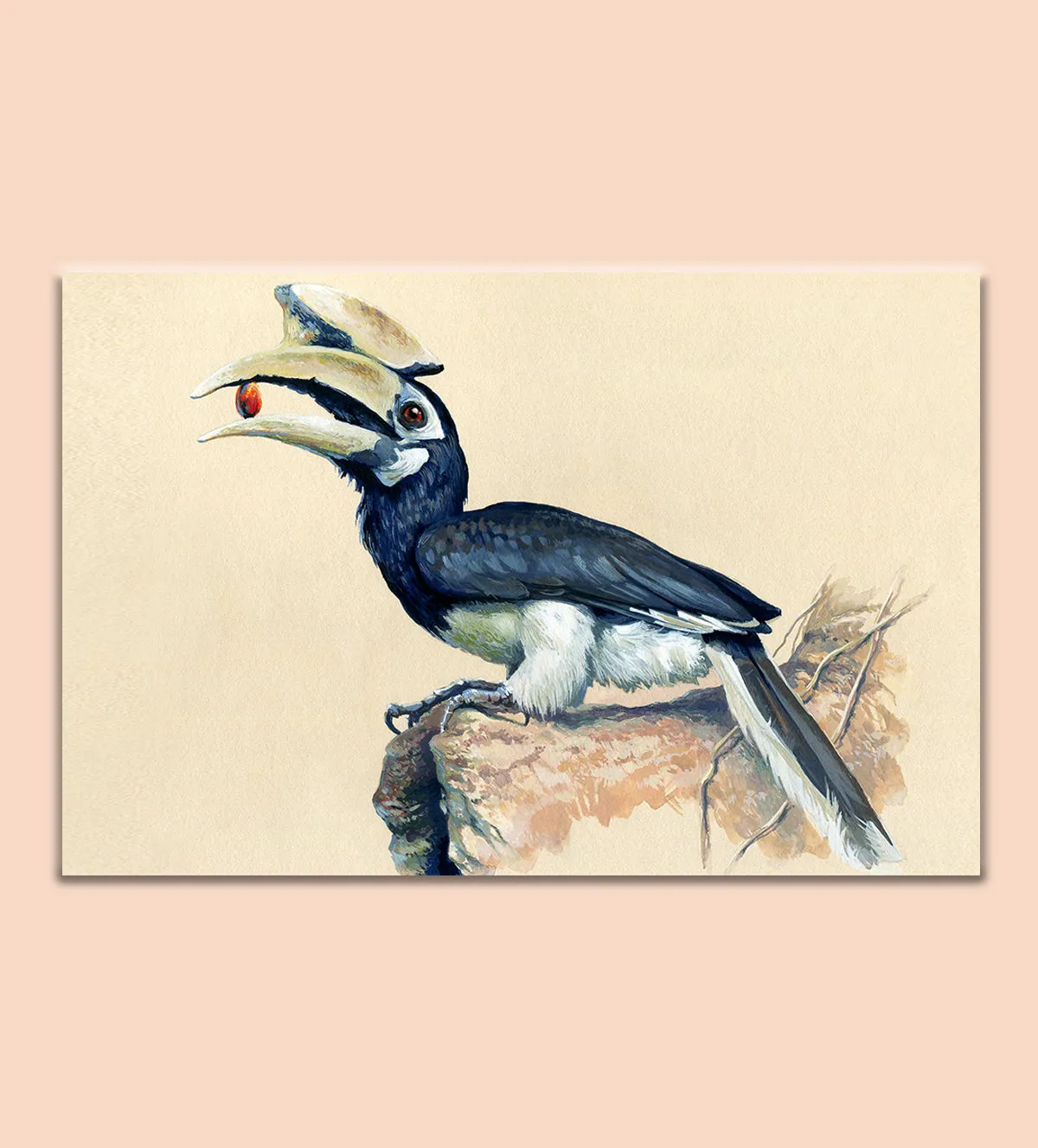 painting of a striking hornbill perched on a rock