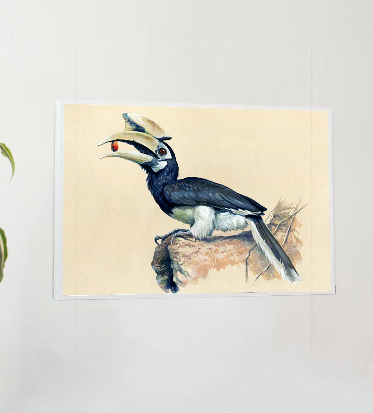 painting of a striking hornbill perched on a rock