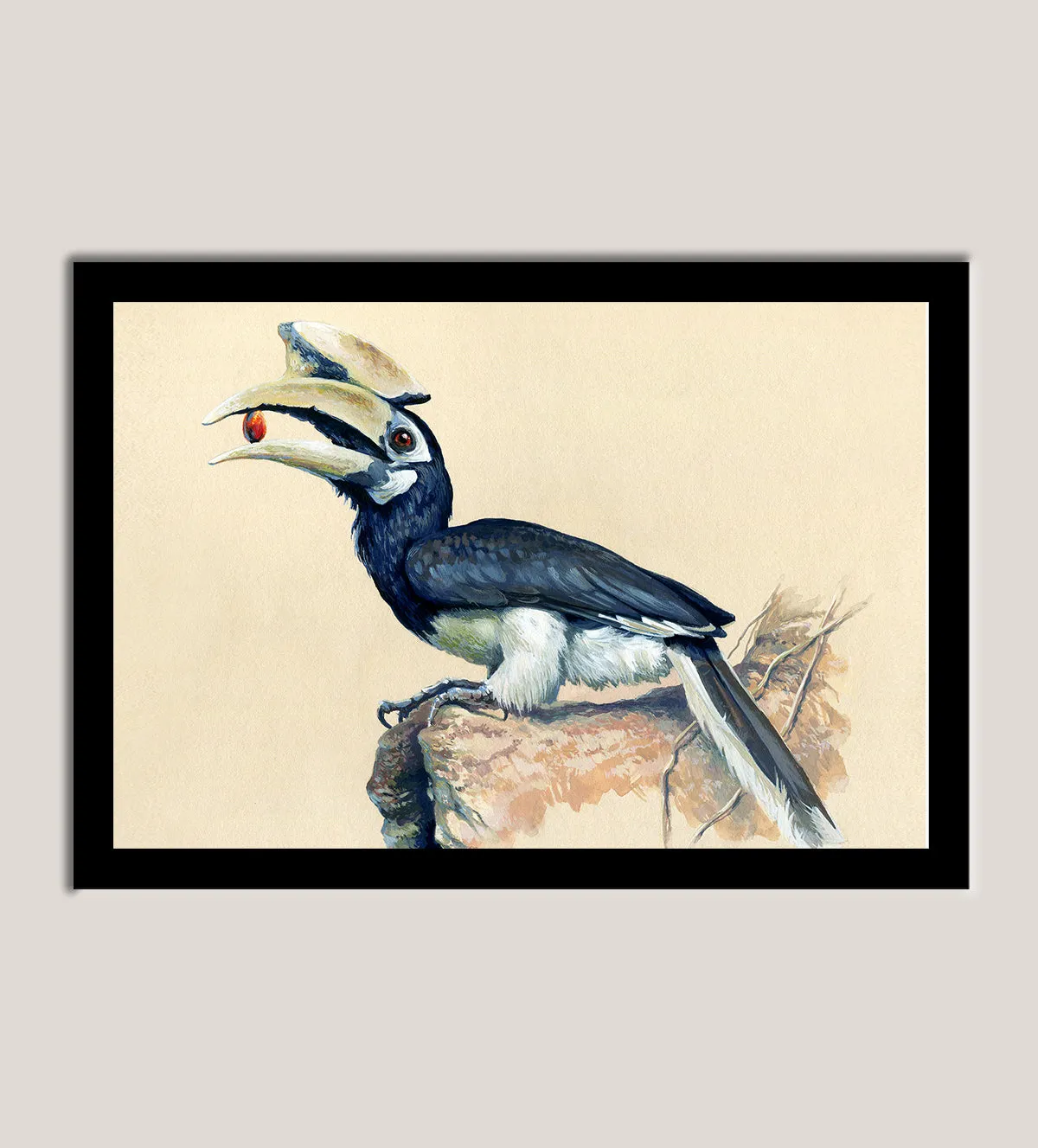 painting of a striking hornbill perched on a rock