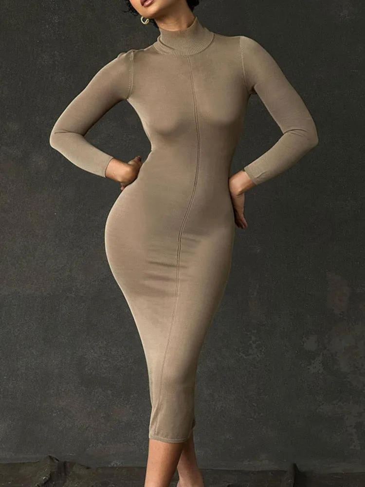 Turtleneck Backless Graceful Bodycon Midi Dress