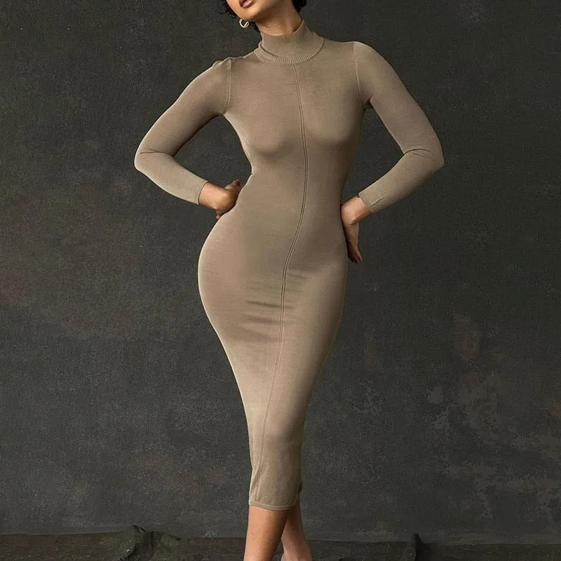 Turtleneck Backless Graceful Bodycon Midi Dress