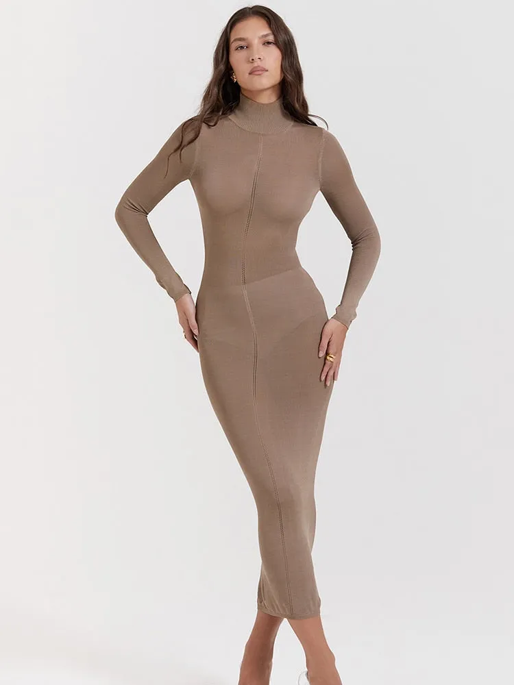 Turtleneck Backless Graceful Bodycon Midi Dress