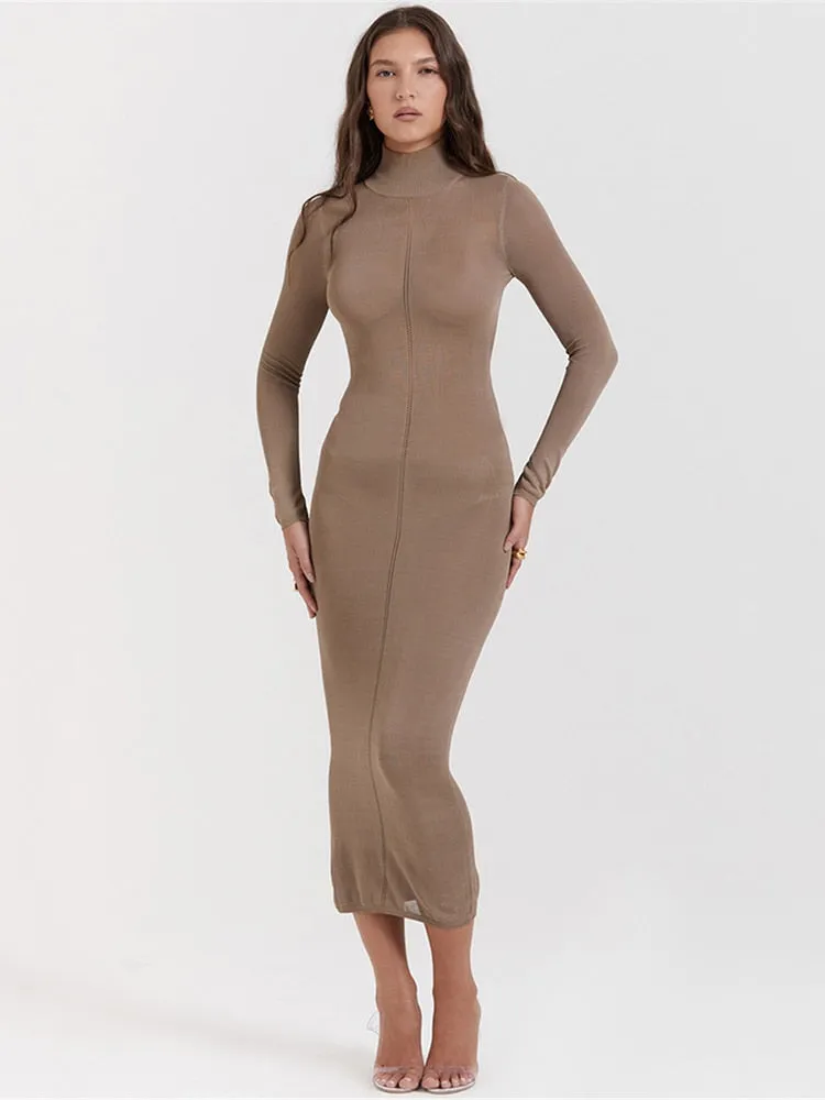 Turtleneck Backless Graceful Bodycon Midi Dress