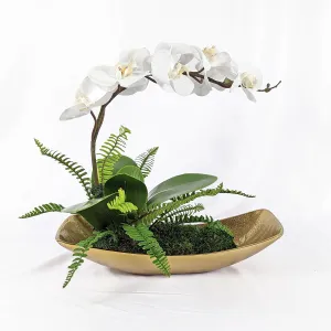 Uttermost Transcend Orchid Centerpiece