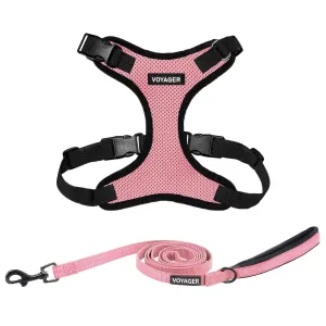 Valentine Step-In Lock Harness & Leash Set