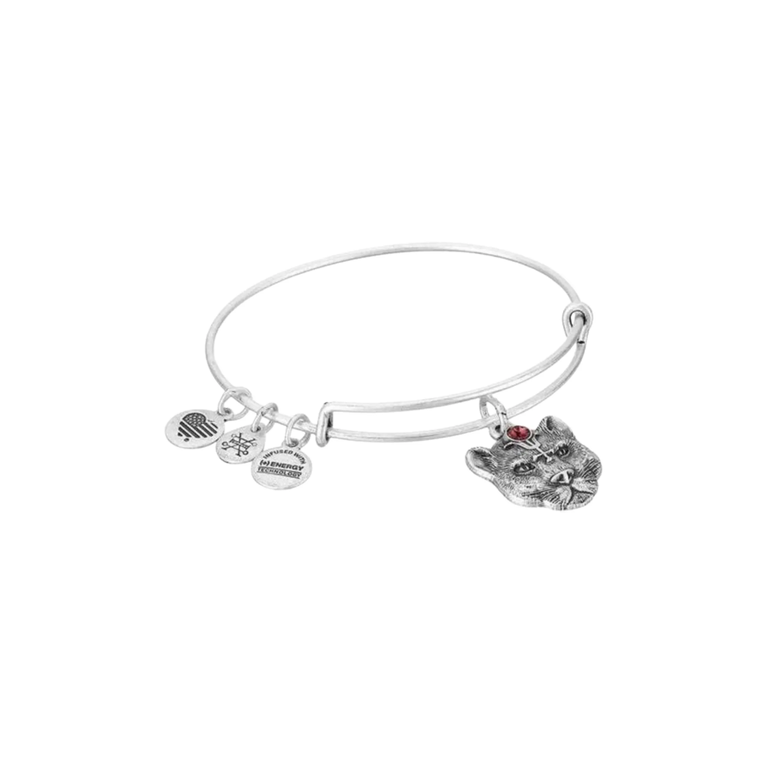 Wild Heart Alex & Ani Bracelet