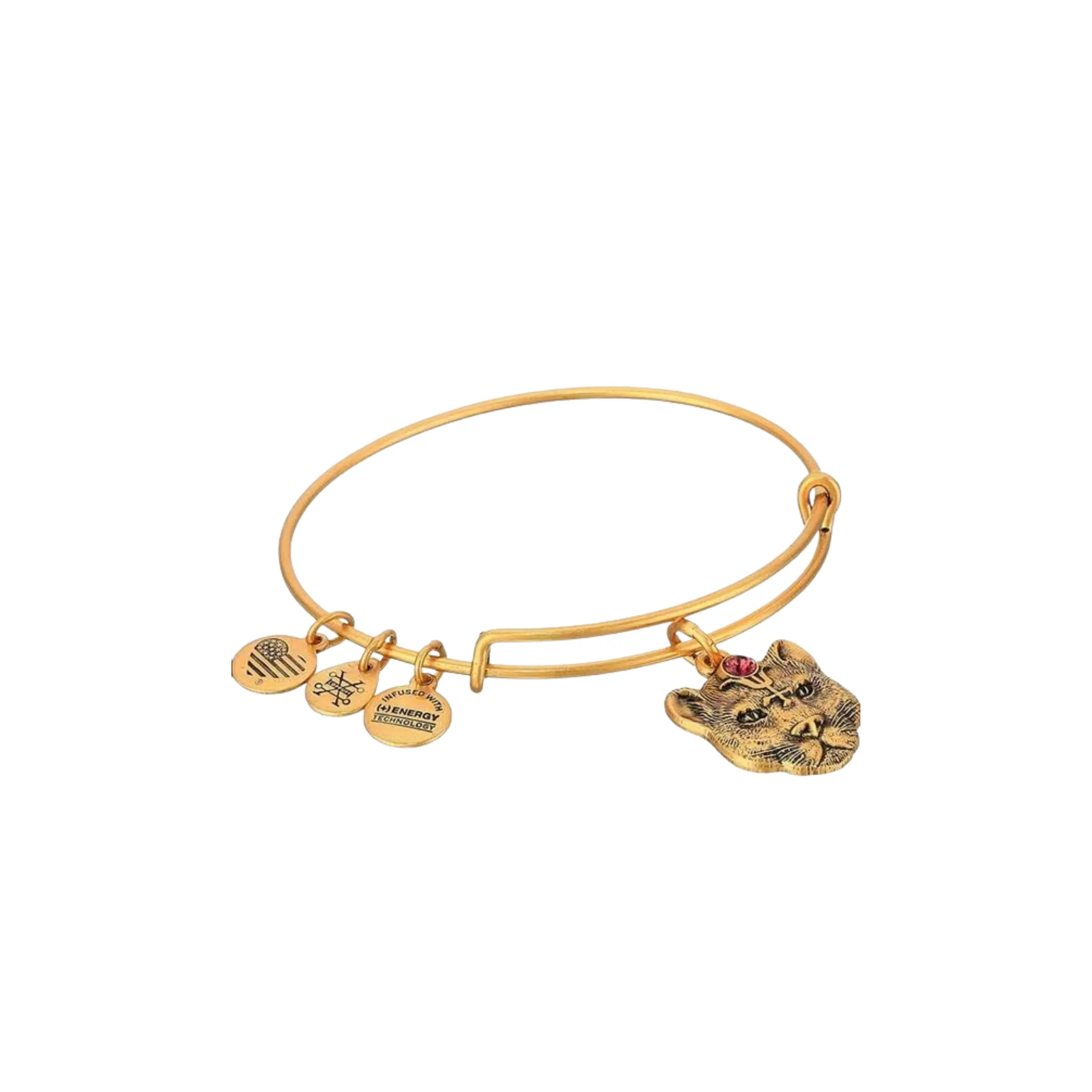 Wild Heart Alex & Ani Bracelet