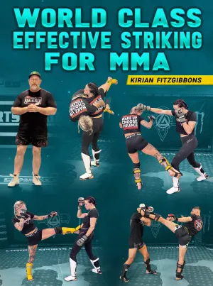 World Class Effective Striking For MMA by Kirian Fitzgibbons